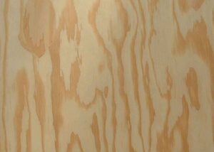 Douglas Fir Plywood
