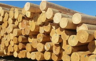 A bundle of utility poles in a construction yard