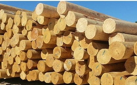 A bundle of utility poles in a construction yard