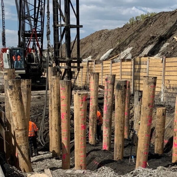 Wood & Timber Pilings Weekes Forest Products