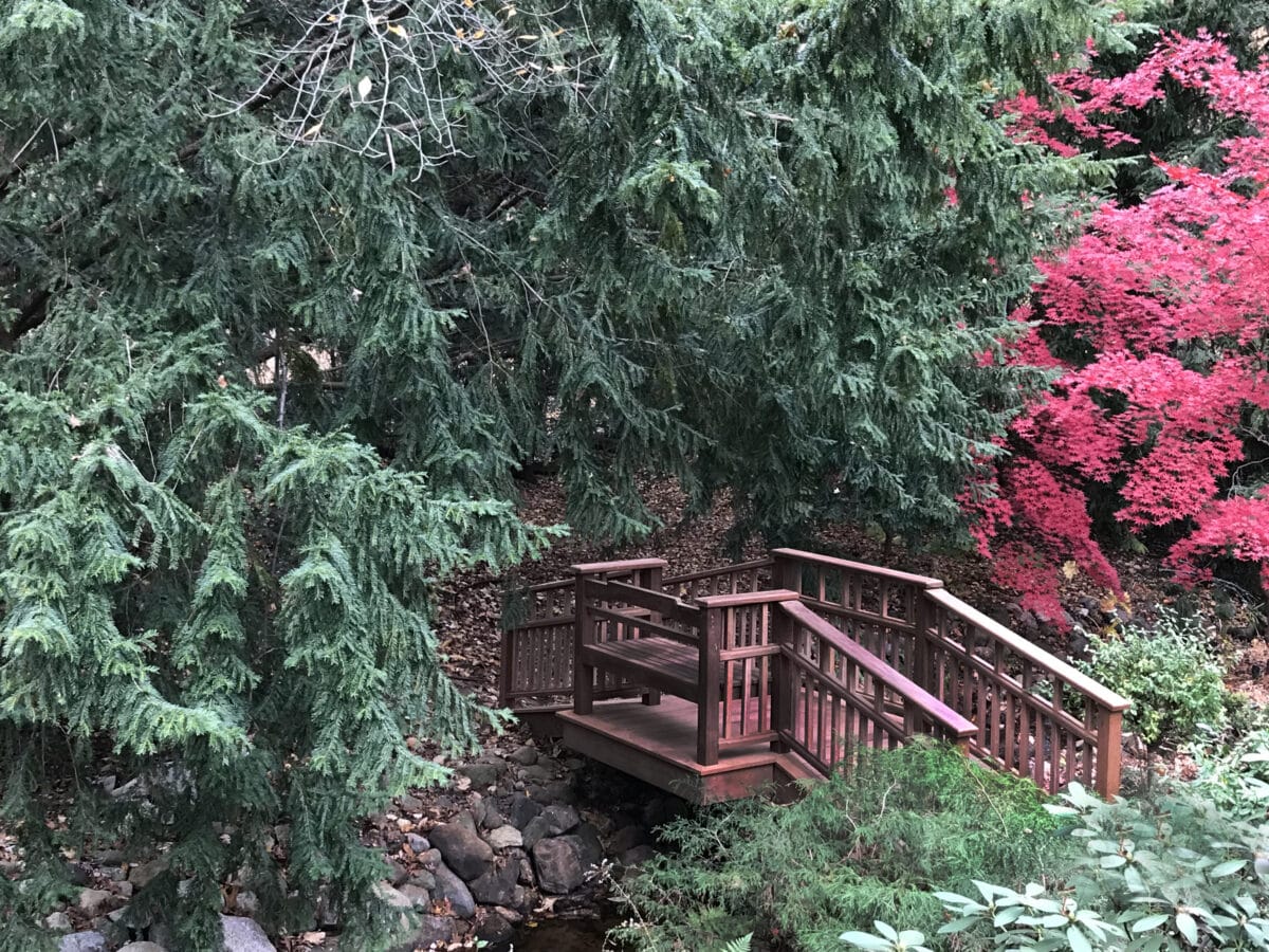 Signature Ipé Hardwood Decking Weekes Forest Products