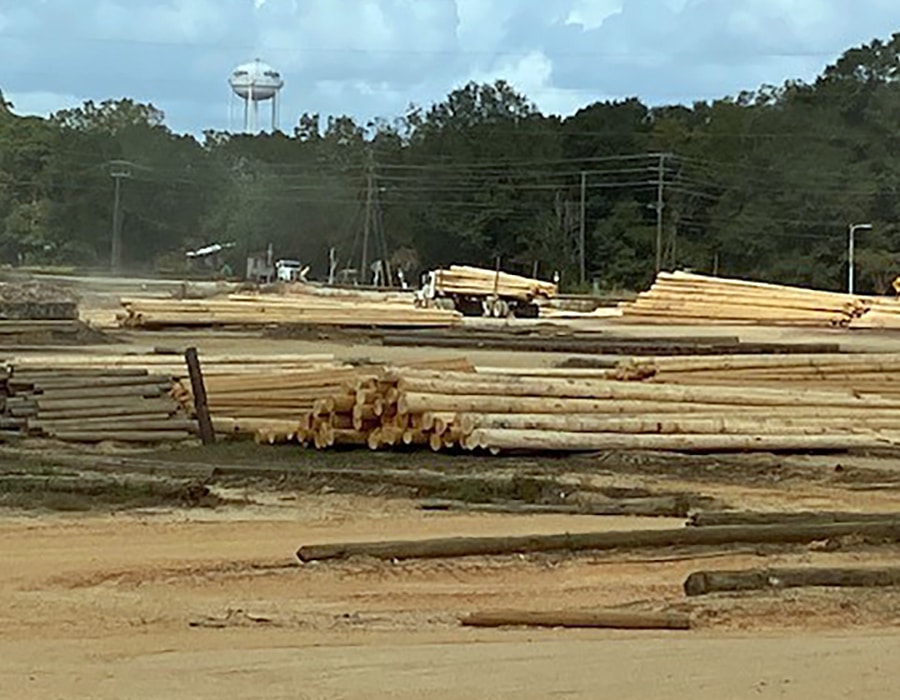 Utility poles laid out in construction yard