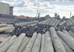 Bundles of treated timber utility poles laid out in timber yard