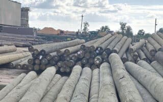 Bundles of treated timber utility poles laid out in timber yard