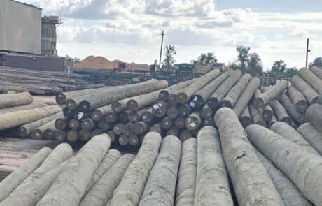 Bundles of treated timber utility poles laid out in timber yard