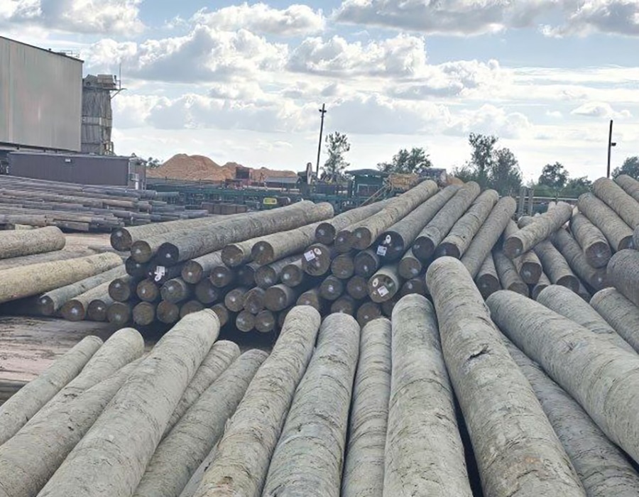 Bundles of treated timber utility poles laid out in timber yard