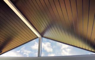 Canvas Series - Walnut