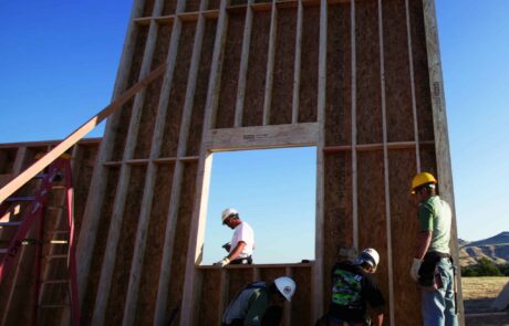 Timberstrand tall wall